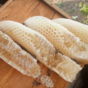 泸州纯天然蜂蜜-