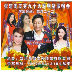 四川龙韵文化传播股份有限公司-明星演唱会海报
