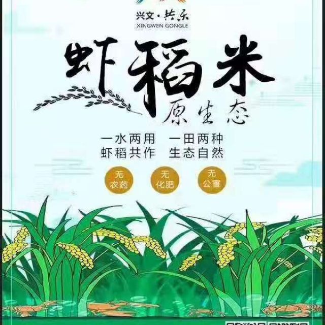 兴文共乐原生态虾稻米