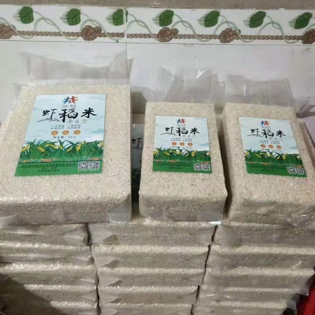 兴文共乐原生态虾稻米-